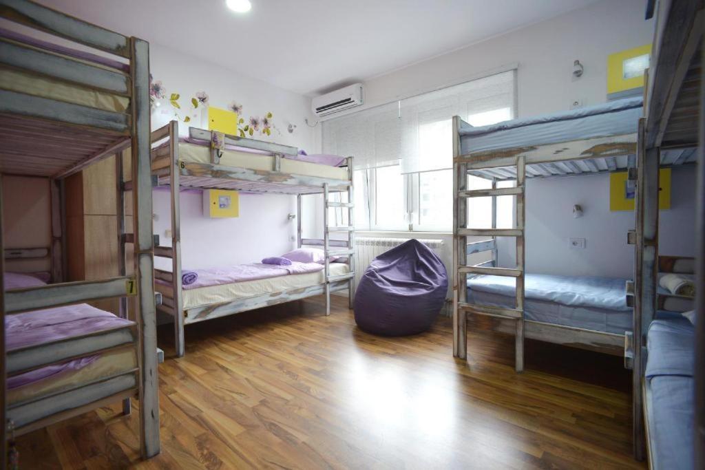 Stella Di Notte Hostel เบลเกรด ภายนอก รูปภาพ