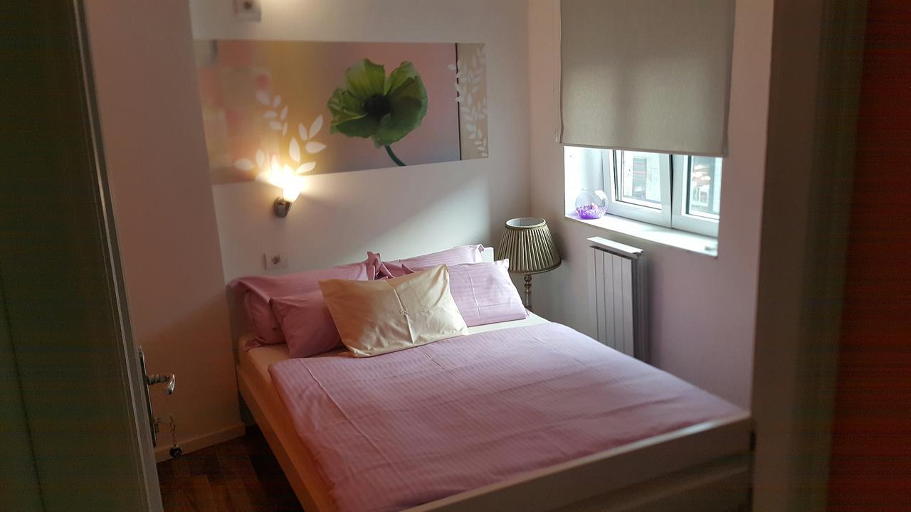 Stella Di Notte Hostel เบลเกรด ภายนอก รูปภาพ